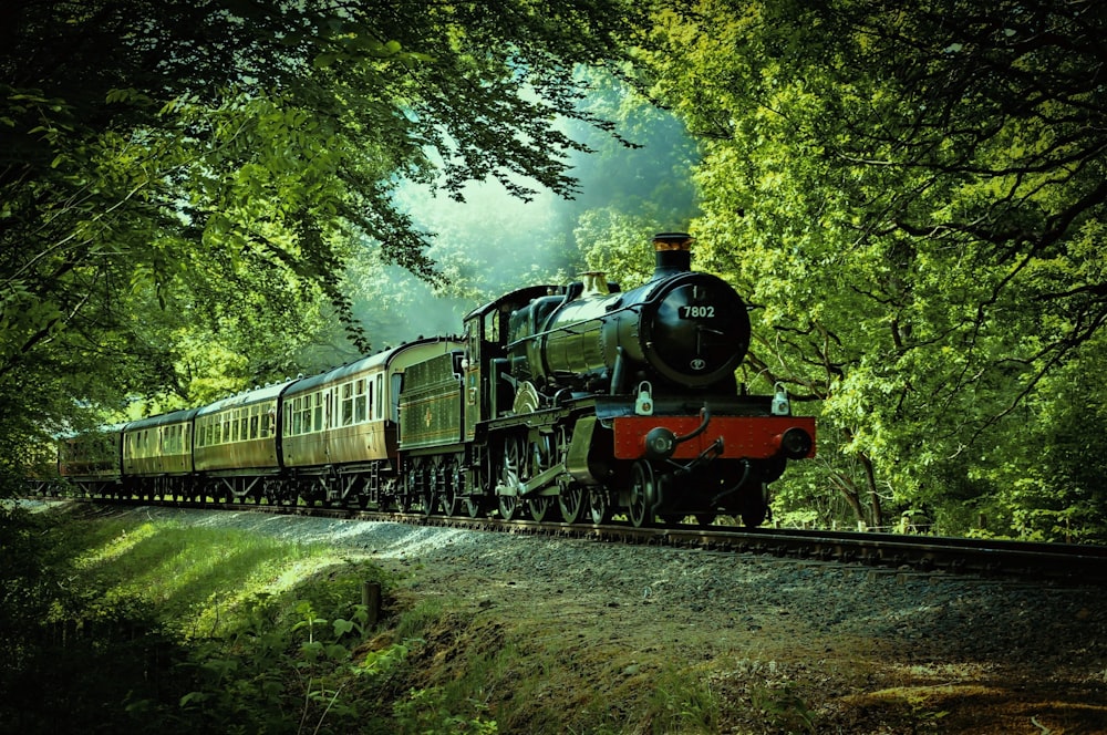 black and red train passing through forest