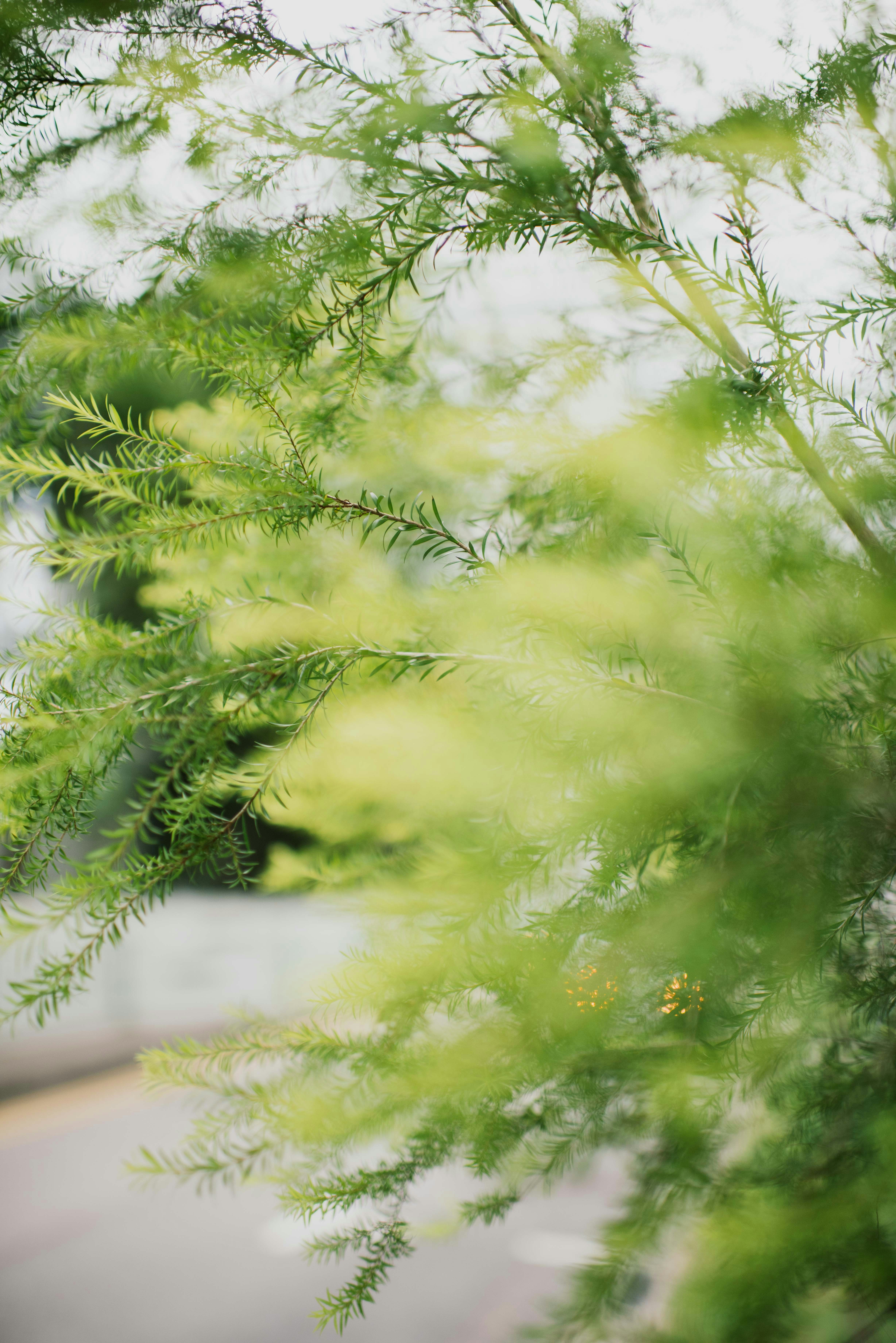 Photo by chuttersnap