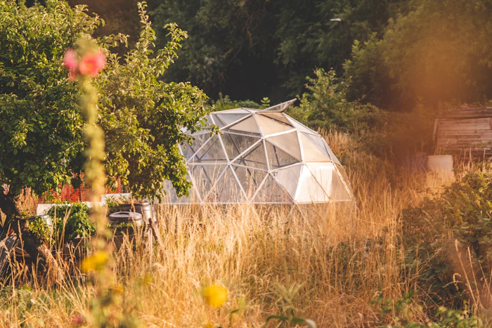 Unique Glamping Spots