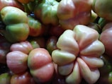 A close-up of colorful organic tomatoes.