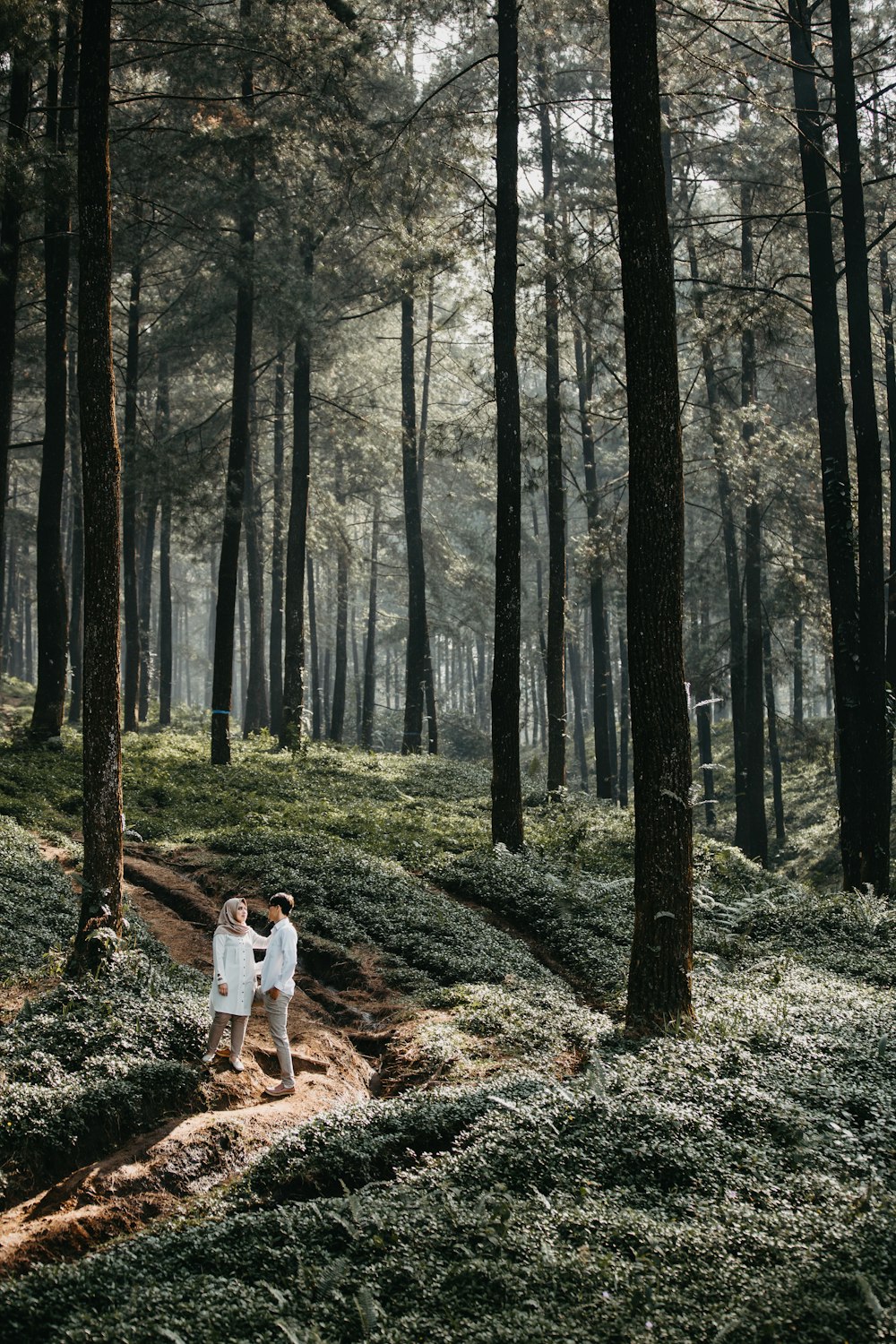 man and woman standing next to each other in a forest with tall trees during daytime