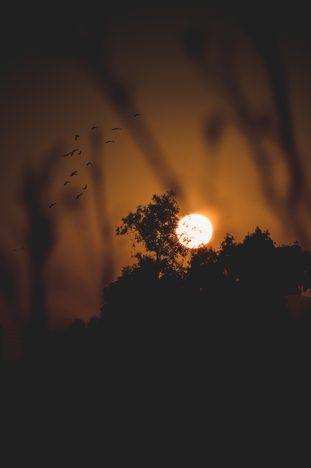 Fotografía de enfoque selectivo de luna llena