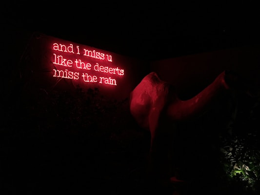 Neon red text on a dark background reads 'and i miss u like the deserts miss the rain.' The sign is set against a shadowy backdrop, with some foliage and a large abstract sculpture partially visible.