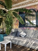 Cozy outdoor lounge area with colorful cushions and tropical plants.