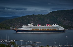 white and gray ship on body of water