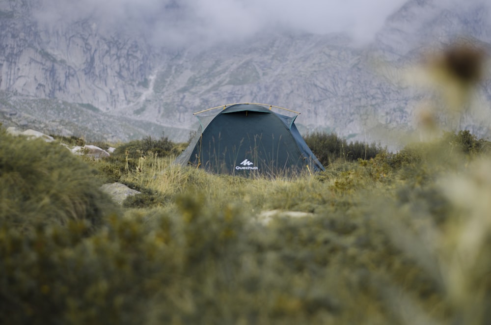 gray dome text on green grass