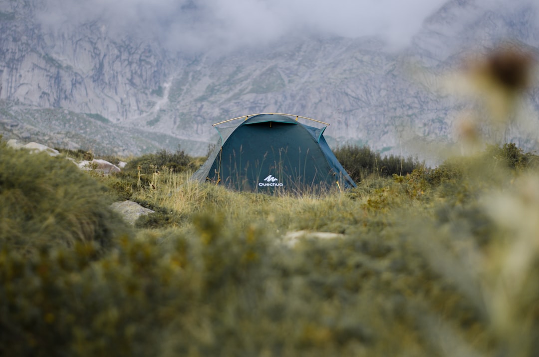 gray dome text on green grass