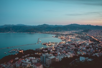 aerial photography of city