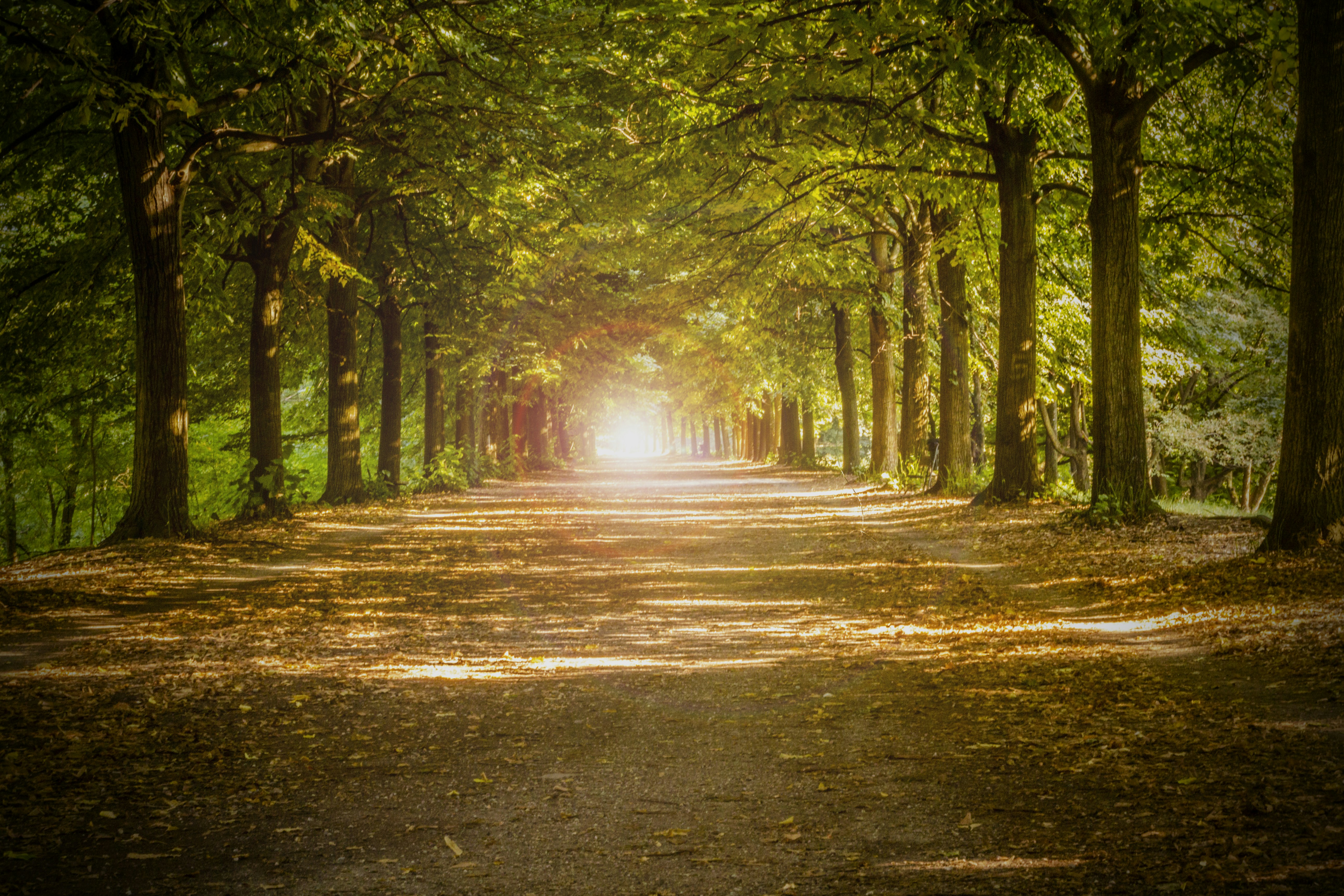 photo 1535591804668 36af13c9f184?ixlib=rb 4.0