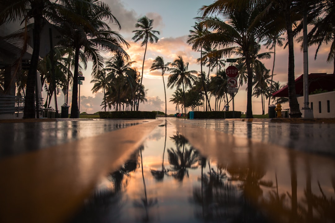 7 Hidden Gems Among Miami Beach Hotels Beyond the Obvious Luxury Pi… — 7 Hidden Gems Among Miami Beach