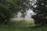 A serene forest clearing bathed in soft morning light, inviting peaceful reflection.