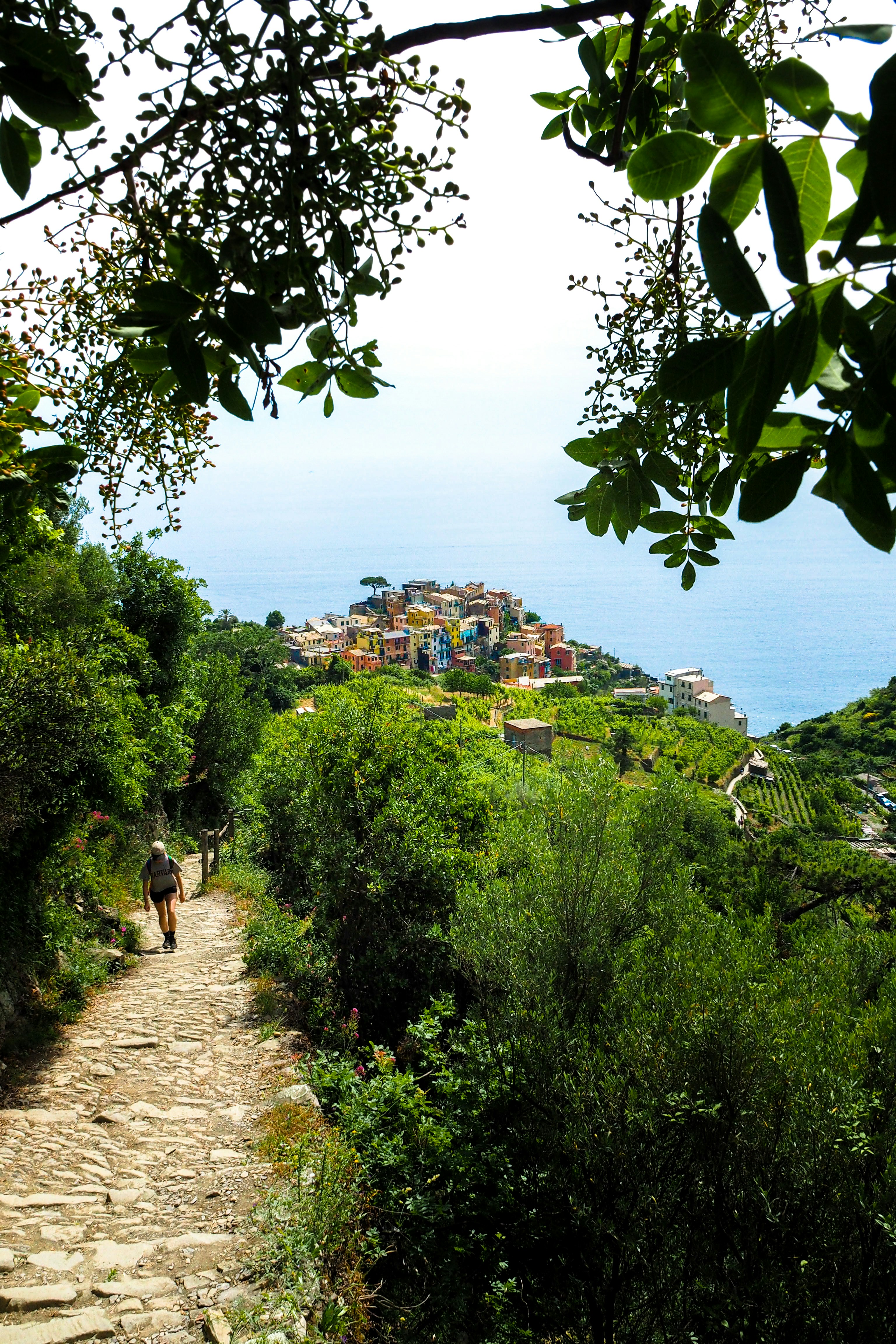 Guida a Cinque Terre: Le Terre Dipinte sul Mare