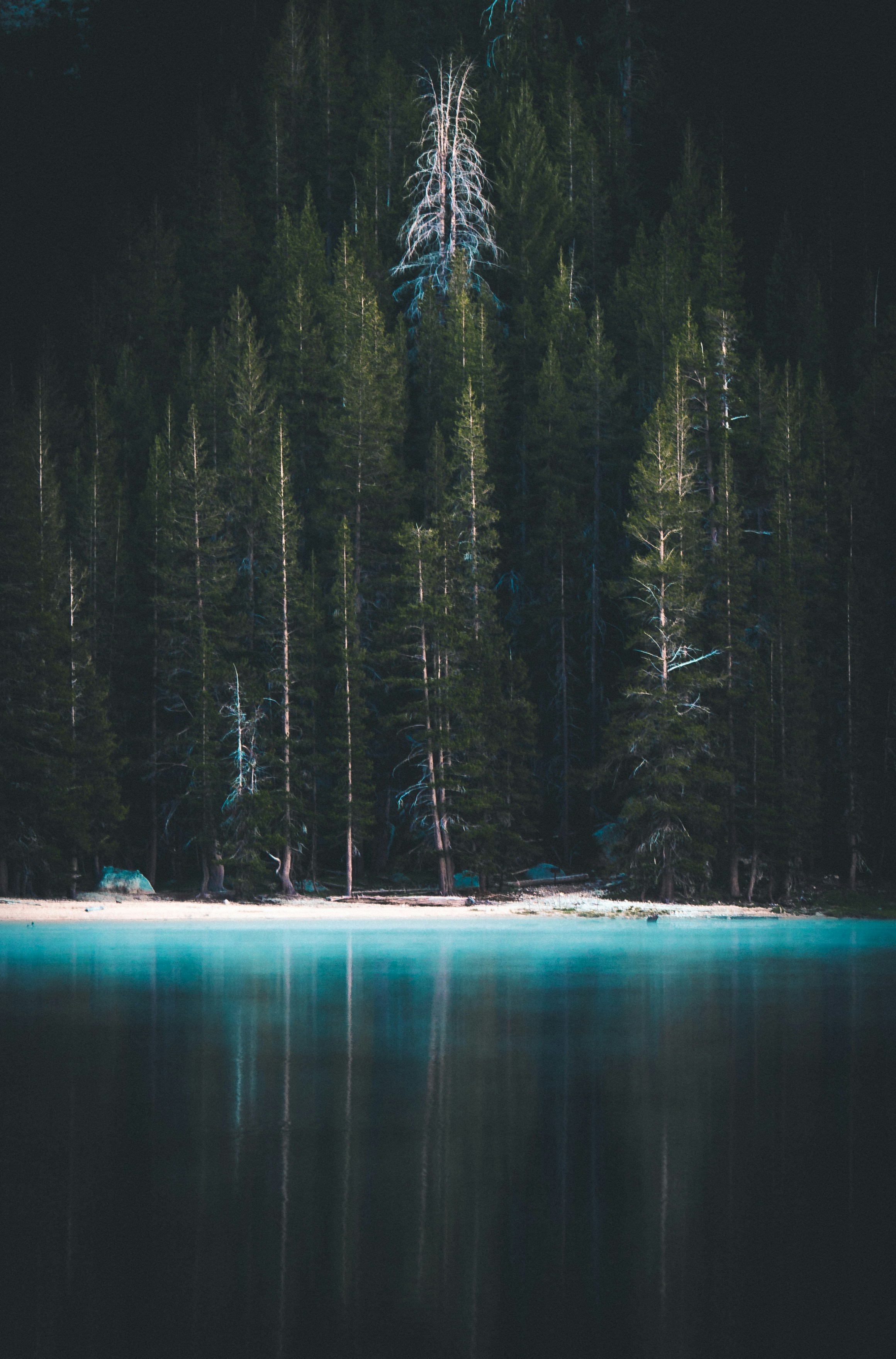 Photo by mischievous_penguins