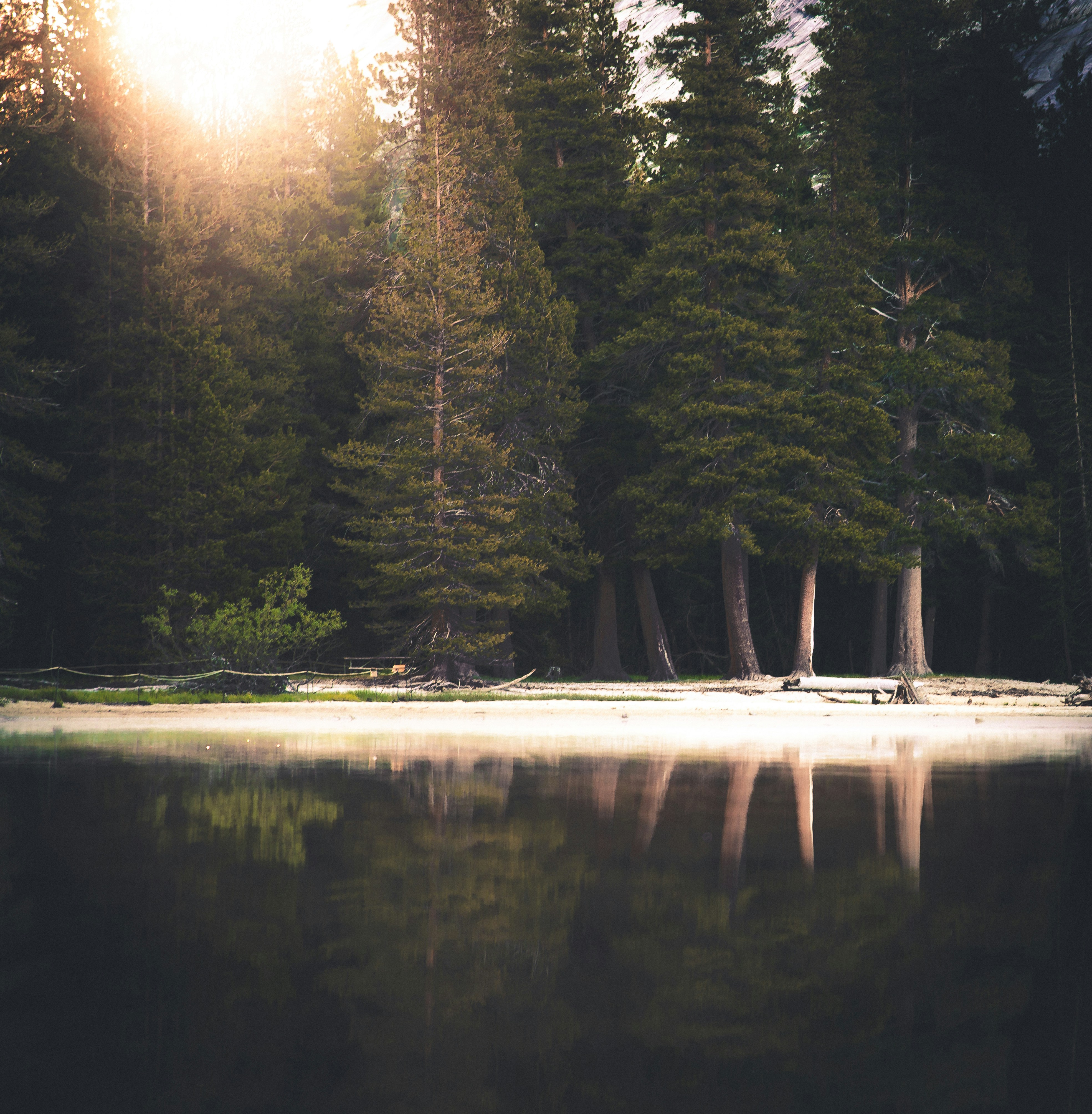 Photo by mischievous_penguins