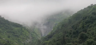 A misty morning view of the Western Ghats with cascading waterfalls and dense greenery.