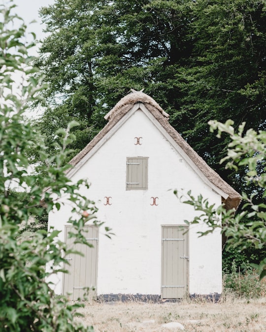 white concrete house surrounded by green leafed trees in Svendborg Denmark