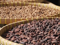 Workers fermenting cacao beans in traditional wooden boxes under the sun.