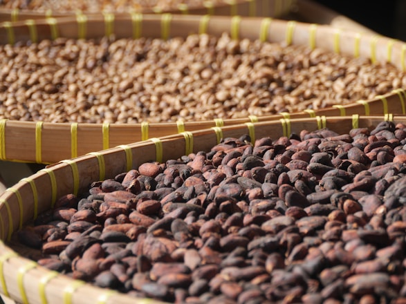 Wooden baskets filled with dried cocoa beans are arranged in close proximity, showcasing a variety of beans in different stages of drying.