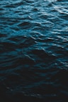 calm wave of ocean