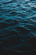 calm wave of ocean