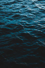 calm wave of ocean