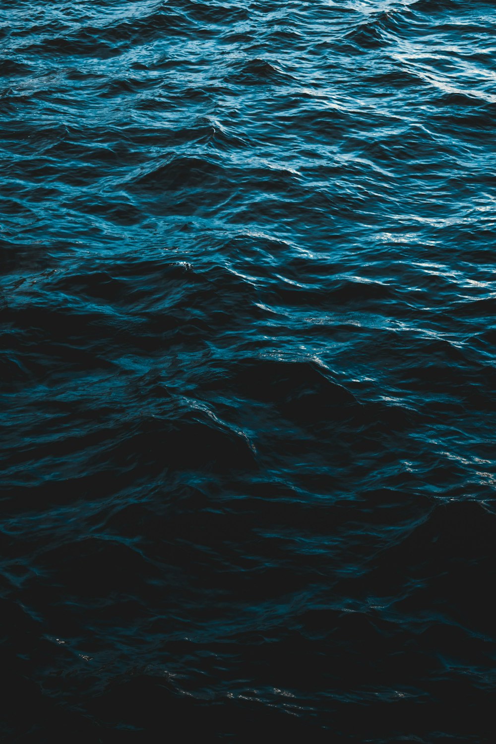 500+ Blue Water Pictures [HD]  Download Free Images on Unsplash