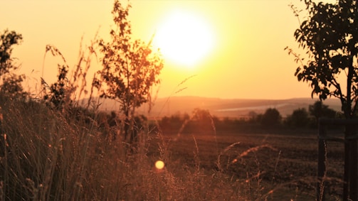 A serene landscape photograph capturing golden hour light.