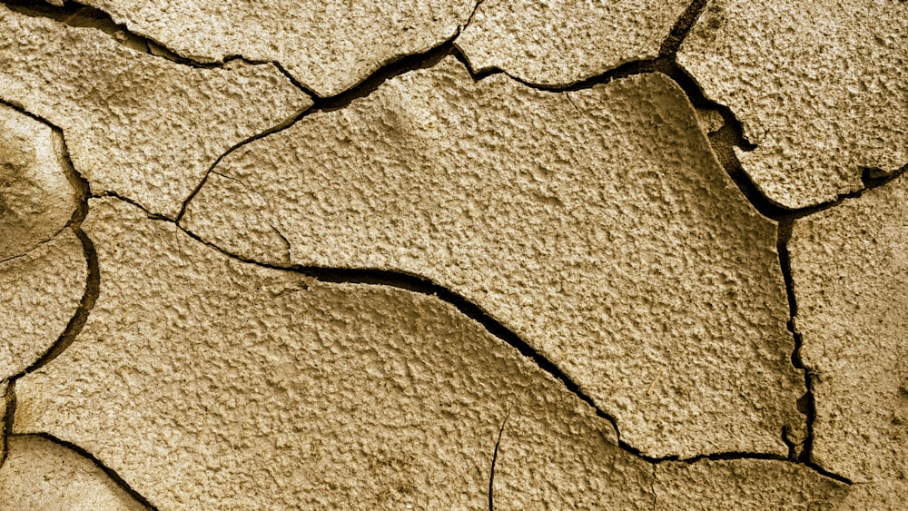 cracked brown pavement