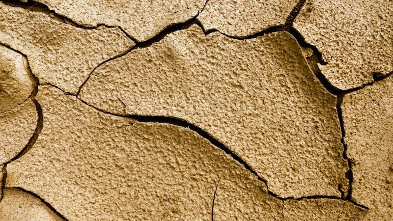 cracked brown pavement