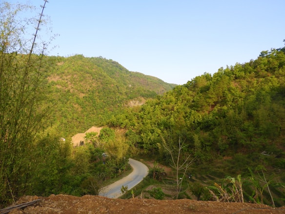 Photo 1535653766312 5d2e5a7eb73f?q=85&w=584&h=438&fit=crop