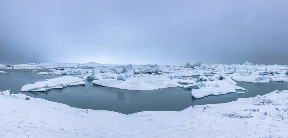 snow-covered land