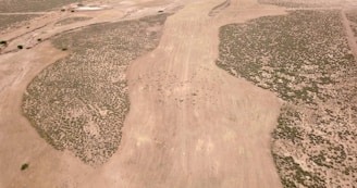 Aerial view of a large, arid landscape with sparse vegetation. In the central part of the image, a group of animals, possibly cattle, is visibly clustered together. The land features patches of green vegetation amidst the predominantly brown, dry ground.