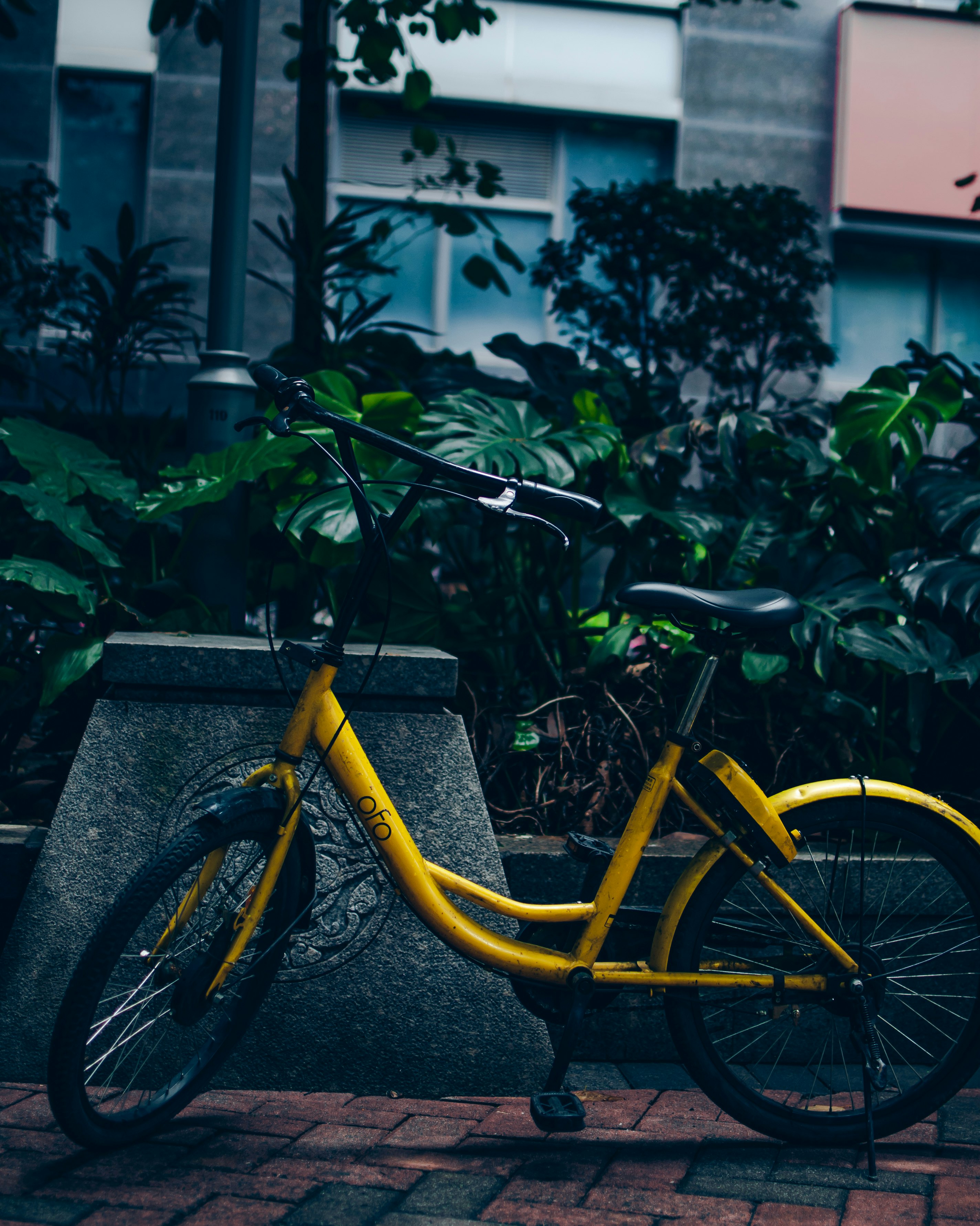 yellow and black Ofo bicycle