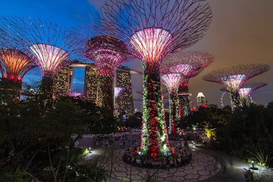 green plants in Gardens by the Bay Singapore