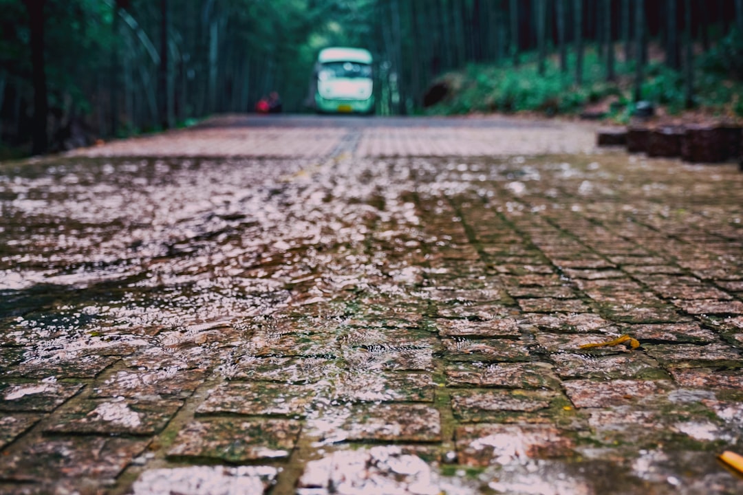 selective focus photography of road
