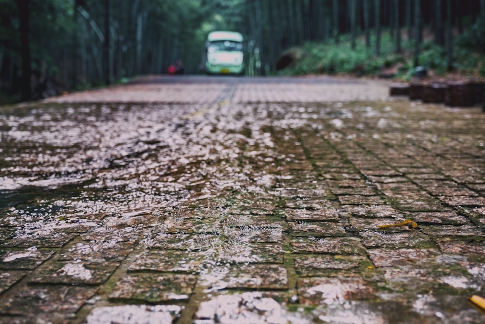 selective focus photography of road