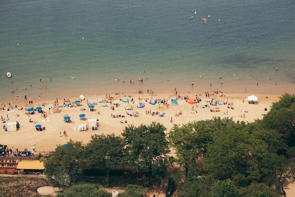 aerial photo of people on beach