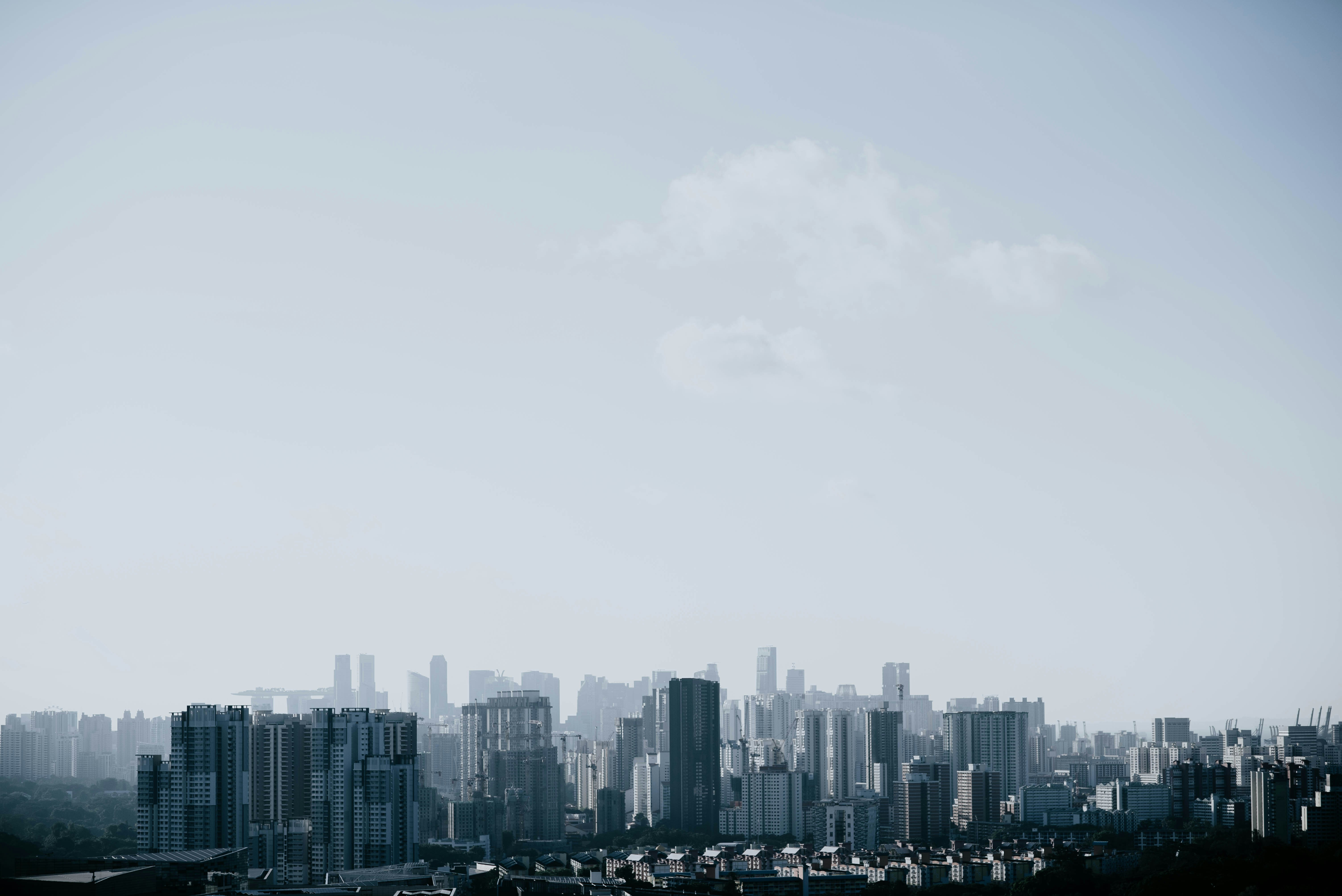 Photo by chuttersnap