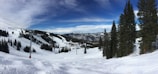 Panoramic view of a snowy ski resort with upscale lodges nestled among pine trees.
