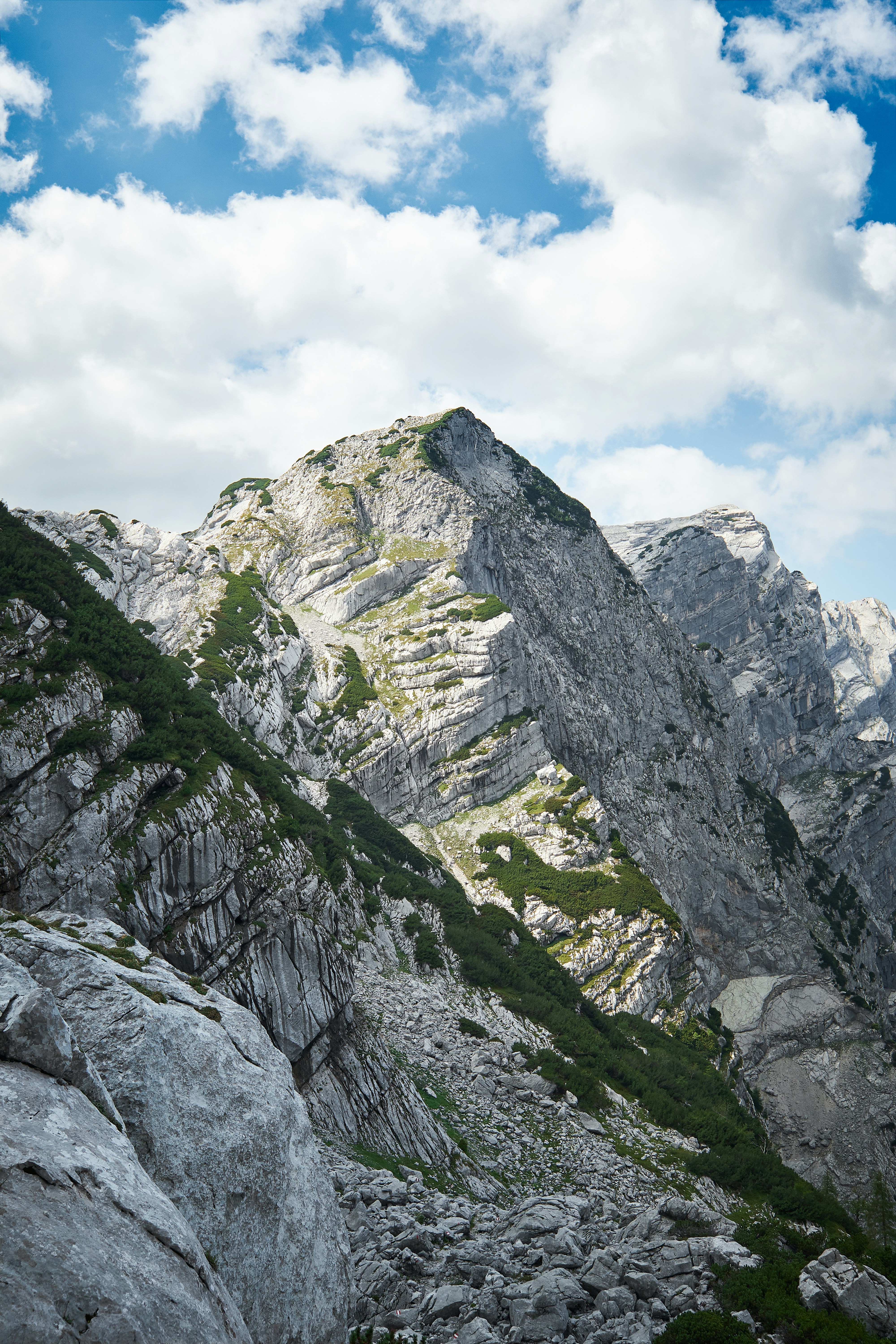 Photo by pixelatelier