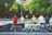 A group of youths sits on a ledge, watching a skate park where people are actively skateboarding. Their bikes are lined up in front of them, and graffiti is visible on the wall they're sitting on. The scene is set in a park with lush green trees and some buildings in the background.