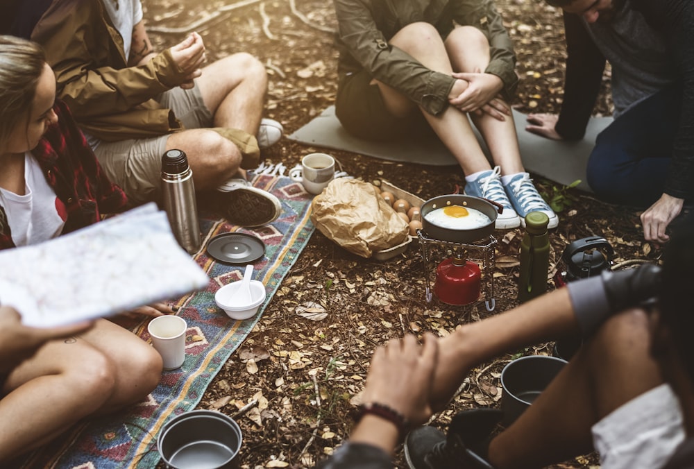 people gathering on a picnic