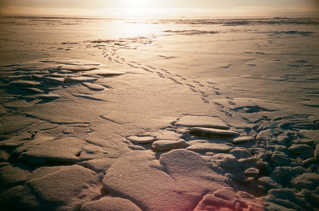 travelers stories about Beach in Solnechnoye, Russia