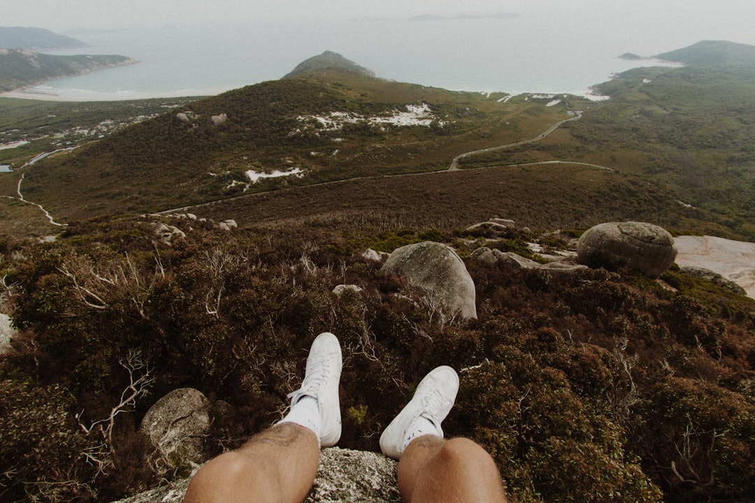 Tundra photo spot Mt Bishop Australia