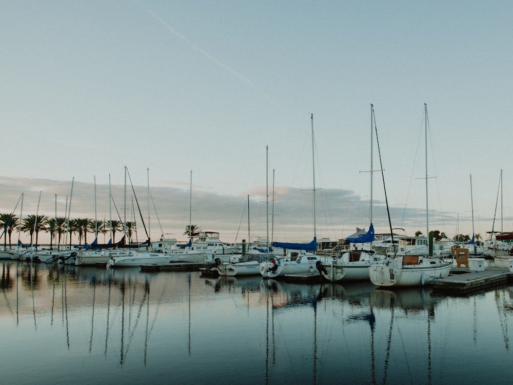 boats on body of water