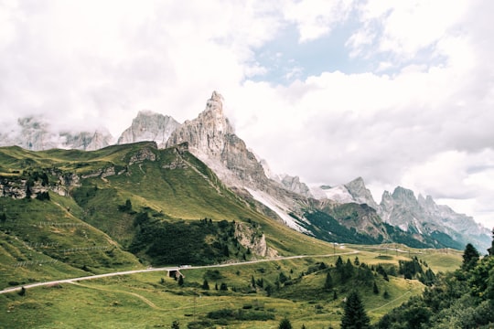 green mountain in Paneveggio Pale di San Martino Italy