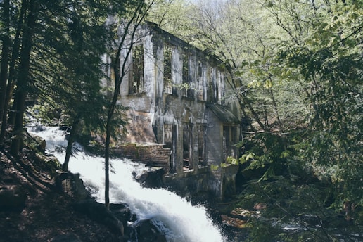 A serene abandoned building surrounded by nature, untouched and peaceful.