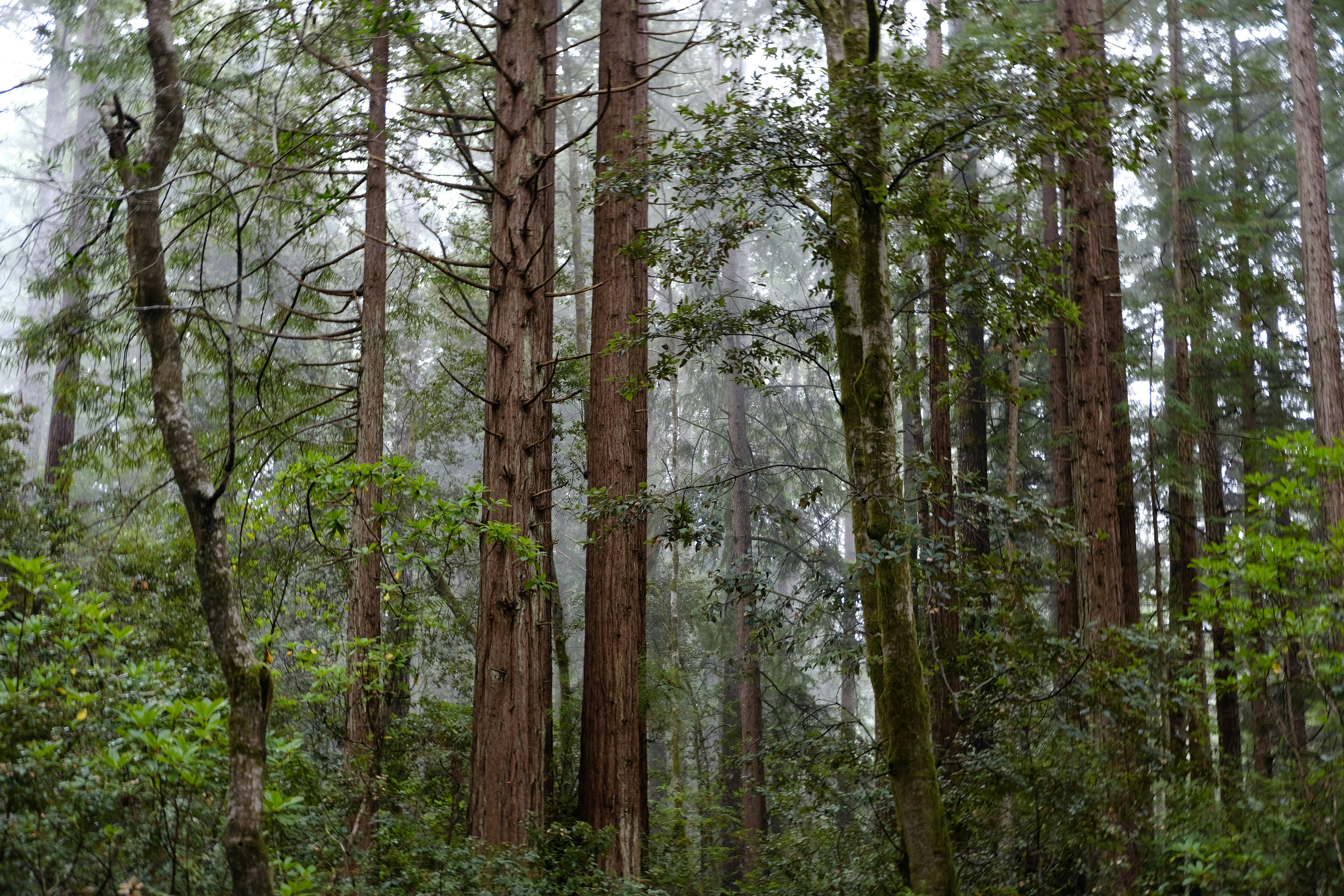 Photo by mrbrunowolff