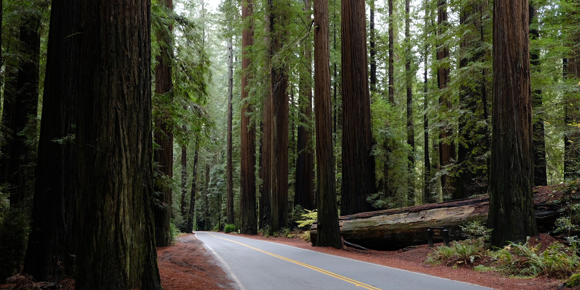 Cover Image for Redwood Climate Office Hours