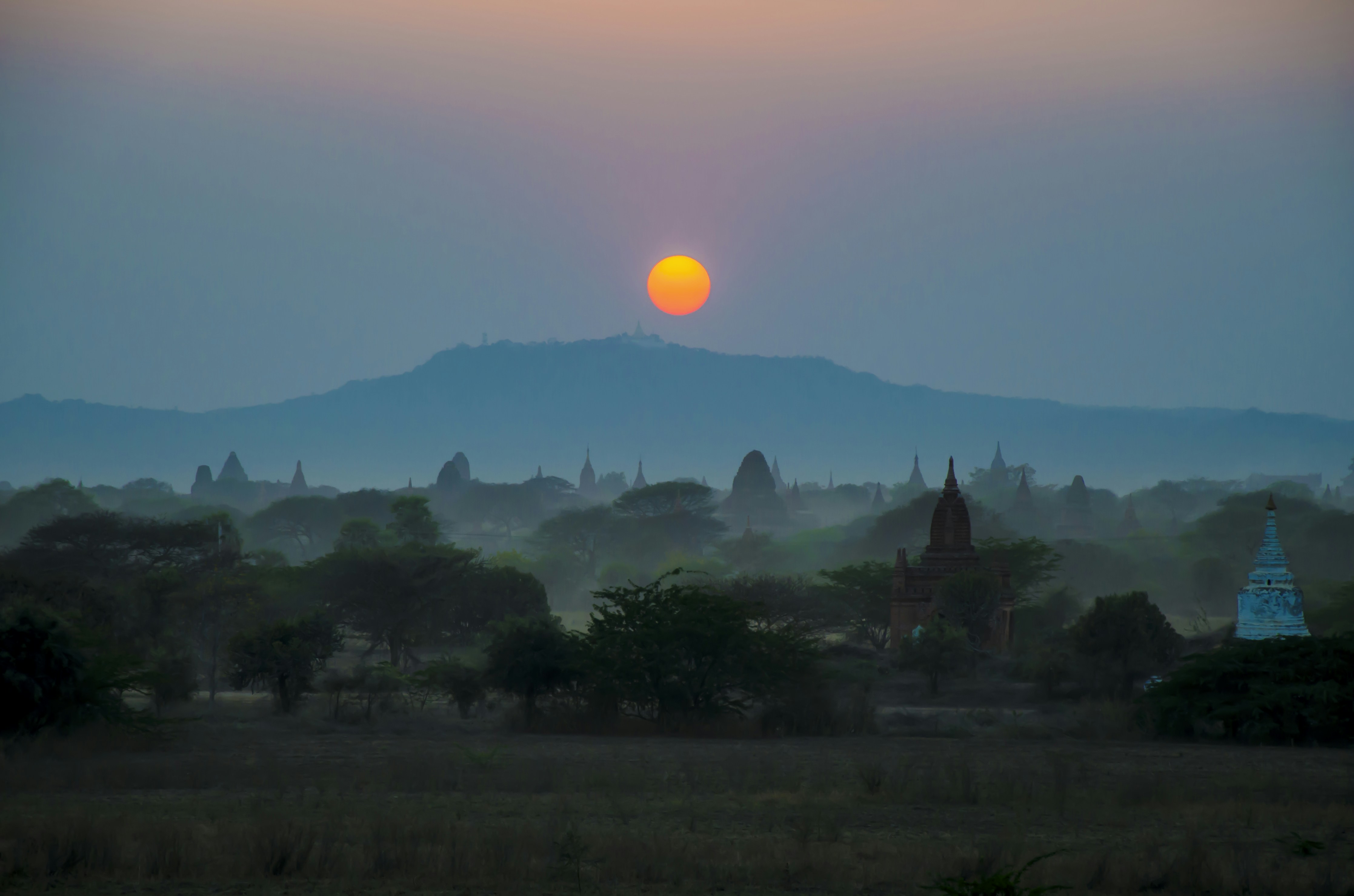 widescreen photography of golden sun